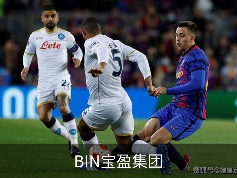 BIN宝盈集团简介