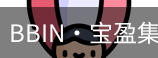 BIN宝盈集团